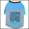 ̕ J[pb`55TEE O[ beache r[`F TVc UobOt