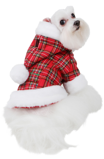 ̕ T^R[g PUPPIA `FbNbh psA SANTA`S COAT NX}X f