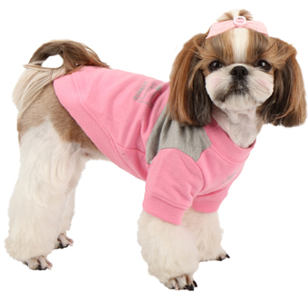 ̕ COCO sN PUPPIA psA f