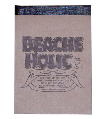 beache holic 񔄕i  mxeB