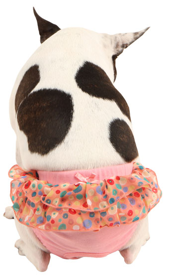 ̂ނ PUPPIA psA FLORET SANITARY sN f