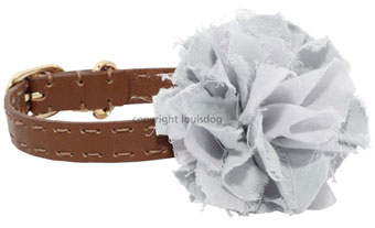 ̎ CXhbO Louis Dog flair collar corsage Brown