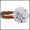 ̎ CXhbO Louis Dog flair collar corsage Brown