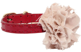 ̎ CXhbO Louis Dog flair collar corsage Red