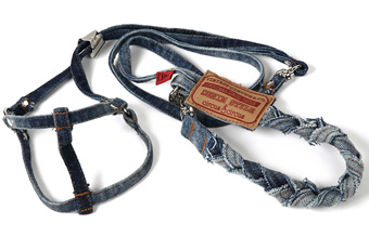 ̓փ[h Denim Braids Harness Lead circus circus T[JXT[JX