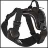 ̓ Hurtta ANeBuEn[lX Raven Active Harness