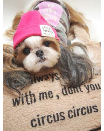 犬 猫のキャリーバッグ One`s Love Boa Carry Bag ベージュ circus