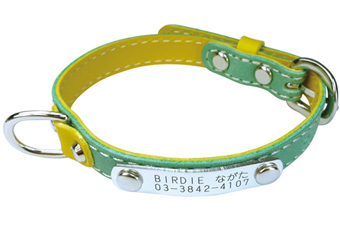 名前と電話番号が刻印可能 IDカラフルレザーバイカラー グリーン 犬 猫の首輪 BIRDIE バーディ