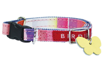 名前と電話番号が刻印可能 マルチボーダーIDカラー ピンク 犬の首輪 BIRDIE バーディ