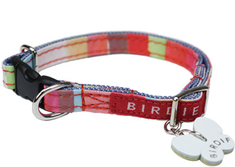 名前と電話番号が刻印可能 マルチボーダーIDカラー レッド 犬の首輪 BIRDIE バーディ