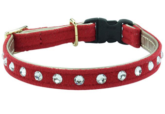 L̎ Luxe birdie CATO}`J[ red~NX^ NXo[fB