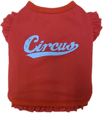 ̕ Cheer Girl cool^N bh circus circus T[JX T[JX