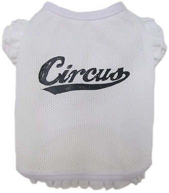 ̕ Cheer Girl cool^N zCg circus circus T[JX T[JX