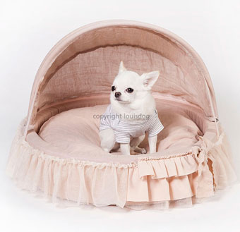  L̃xbh CXhbO Avant Cradle Pink Louisdog