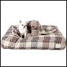 ̃xbh CXhbO Egyptian Cotton Cushion FW BeigeRed Louisdog