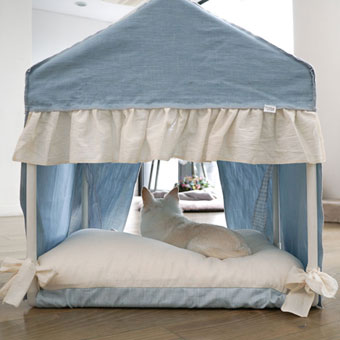 ̃xbh CXhbO Peekaboo Lucky Blue Louisdog