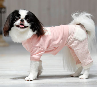 犬の服 スノウパンツ ピンク 犬と生活