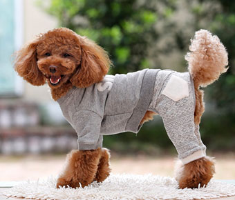 犬の服 スノウパンツ グレー 犬と生活