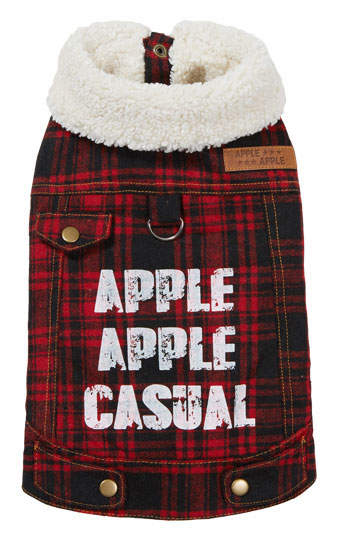 ̕ APPLECASUAL{AxXg `FbN Appleapple AbvAbv