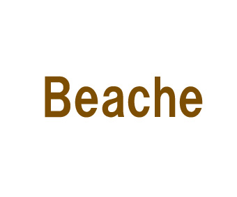 beache  nbs[obO r[`F