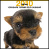 THE DOG �J�����_�[ 2010