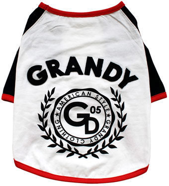 ̕ GDSTEE zCg grandy OfB TVc