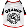 ̕ GDSTEE zCg grandy OfB TVc