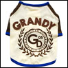 ̕ GDSTEE N[ grandy OfB TVc