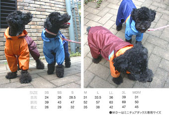 犬用レインコート フルカバータイプ ブルー queue クー モデル犬