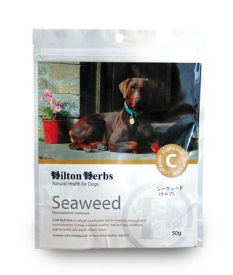 ~l⋋ qgn[u V[EB[h pTvg Seaweed - Kelp