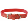 ̎ BBbhEJ[ bh ViVid Collar iCebhybc UNITED PETS