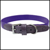 ̎ BBbhEJ[ @CIbg ViVid Collar iCebhybc UNITED PETS