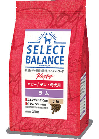 ZNgoX ps[   hbOt[h SELECT BALANCE