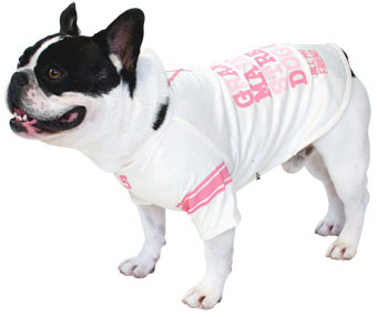 ̕ DOG STREET TEE sN grandy OfB f